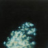 20111125202926-06---11
