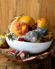 Old Fruit,Roe Ethridge