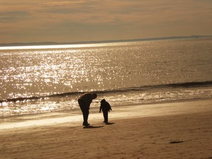20111126162759-dscn5607