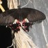 20120221184704-dscn6052
