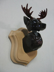 ALCES (Moose),France Cadet