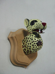 PANTHERA PARDUS (Leopard),France Cadet