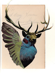 Peryton,Doug Stapleton