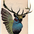 20111127133257-stapleton_peryton