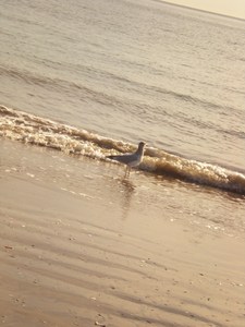 20111127192846-dscn5613