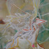 20111128083604-amnesia_artslant