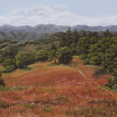 20111128135158-sonoma_roan_high_-_harding