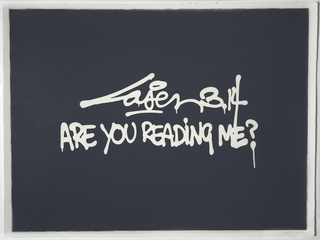 Are You Reading Me?,Laser 3.14