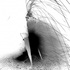 20111129072956-strange_beasts_image