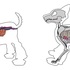 20111129233130-anatomy_dog