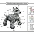 20111129234551-dog_acupuncture_08