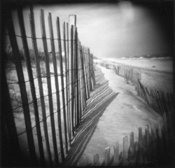 Hurricane Fence,Meg Madison
