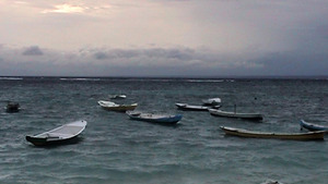 20111130142844-diviniz01