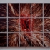 Mat_collishaw_bullethole