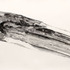 20111203220605-untitled