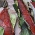 20111204063545-massey_giveaway