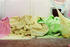 20111204085713-kb_venice_2
