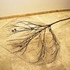 20111204102345-ghost