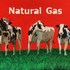 20120214024444-natural_gas