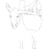 20111204163243-mule_-_ronchamp_100