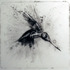20111204171242-colibri