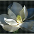 20111205192420-chart_notebookmagnolia