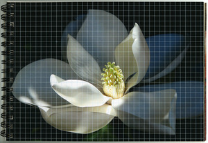 20111205192420-chart_notebookmagnolia