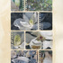 20111205205105-chart_notebookmagnoliawall