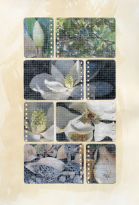 20111205205105-chart_notebookmagnoliawall