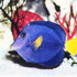 20111206160749-fish12