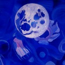20111207122416-swimming_with_the_moon