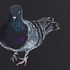 20111207143709-neel_fronte