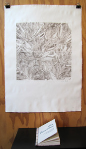 20111207173645-aloeprintmaking_3517