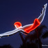 20111207225027-the_diver_16x20_copy