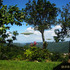 20111218100043-ufo_1