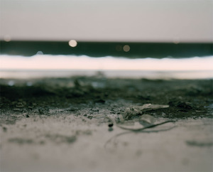 20111208133227-dust4x5