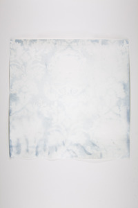20111208133611-emily_psd