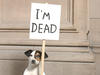 20111208235354-01_david_shrigley