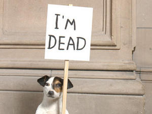 20111208235354-01_david_shrigley