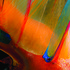 20111209032059-fullcolorpraise
