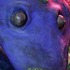 20111209155723-sharkattackdetail