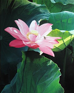 20111209201728-lotus_beesmall