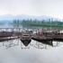 20111209201916-boatsonwestlakesmall