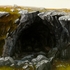 20111210024901-cave_shelter__100_x_100cm__acrylic_on_canvas__2009