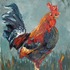 20111210080440-bantamroosterweb