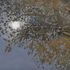 20111210123415-copy_of_robinhextrum_left_behind_48_x_60