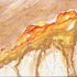 20111210202933-arid