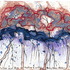 20111210203330-effect_of_malbec_and_blue