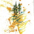 20111210204450-sequioadendron_i