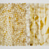 20111211105557-mark_golden_curtain